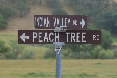 Peach Tree Road & Indian Valley Road, Monterey County