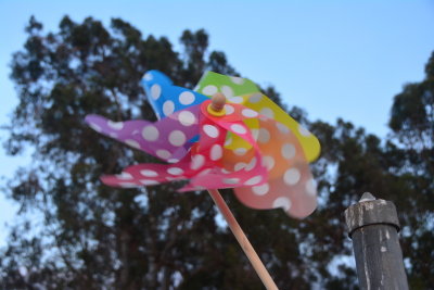 DSC_5967.JPG