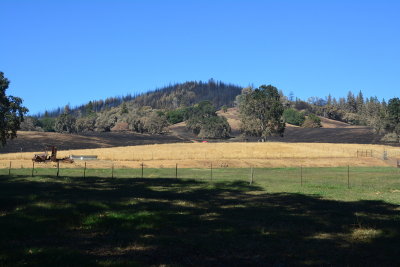 DSC_9885.JPG