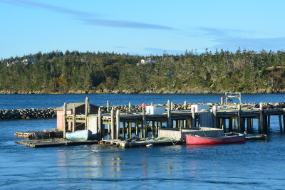 DSC_3472-001.JPG