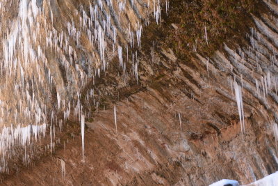 DSC_2196-002.JPG