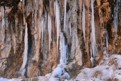 DSC_2202-002.JPG