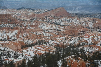 DSC_4024-002.JPG