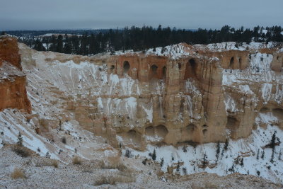 DSC_4136-002.JPG
