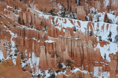 DSC_4289-002.JPG