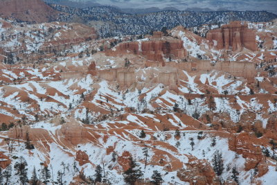 DSC_4299-002.JPG