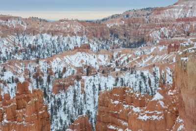 DSC_4314-002.JPG