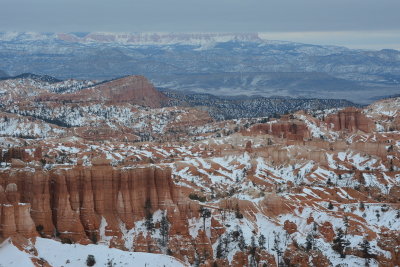 DSC_4323-002.JPG