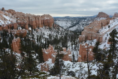 DSC_4649-002.JPG