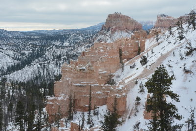DSC_4652-002.JPG