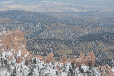 DSC_4735-002.JPG