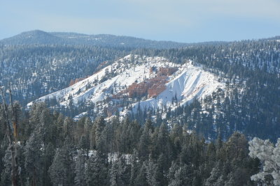 DSC_4833-002.JPG
