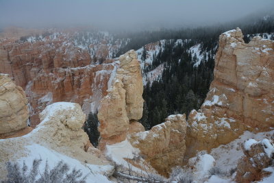 DSC_5004-002.JPG
