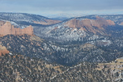 DSC_5117-002.JPG