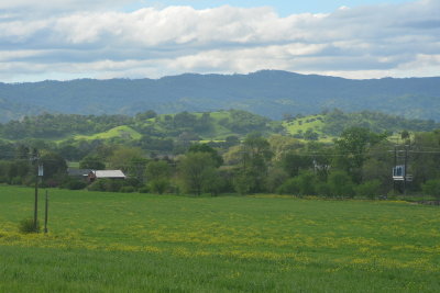 DSC_7934-002.JPG