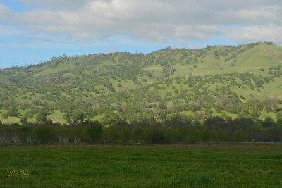 DSC_7965-002.JPG