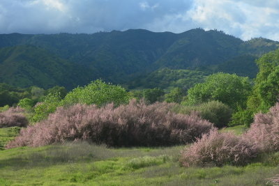 DSC_8108-002.JPG
