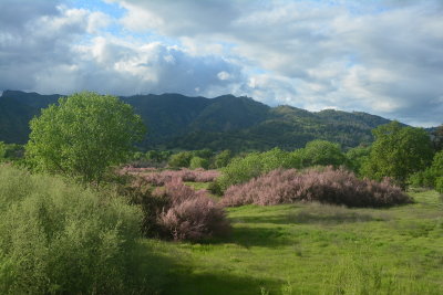 DSC_8125-002.JPG