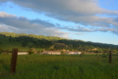 DSC_8236-002.JPG