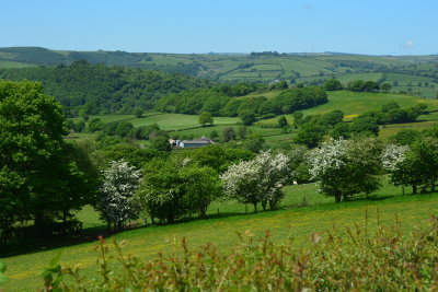 Countryside of western Wales
