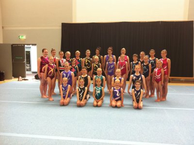 S W  CHAMPIONSHIPS COMPETING GYMNASTS 2012.JPG