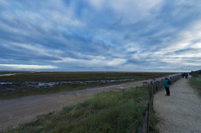 Donna Nook