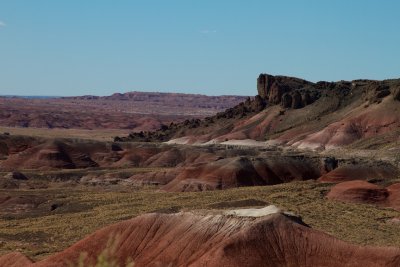 National Petrified Forest
