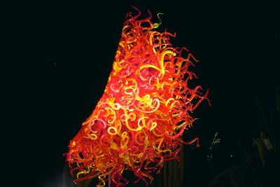 IMG_0204.jpg
