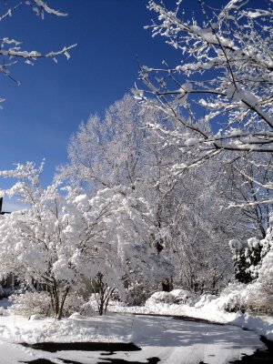 02 Winter