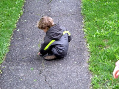 20 Sidney on the front walk.jpg