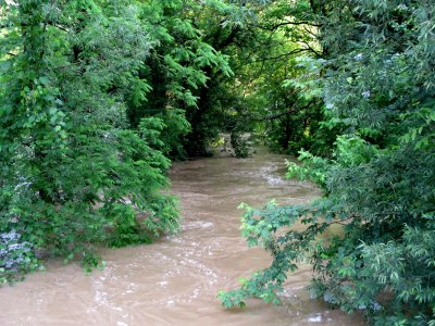 09 Irondequoit Creek flooded in Mendon 05.jpg