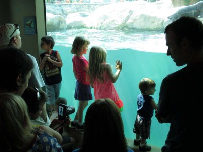 05 Violet and Bailey watching seals.jpg