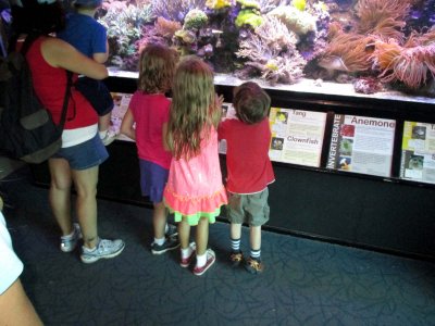 06 Violet, Bailey and Sid with fish 01.jpg