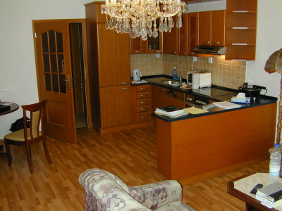 45 Prague kitchen 1.JPG