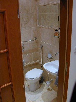 53 Prague bathroom 2.JPG