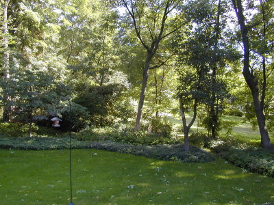 Malin 08.JPG