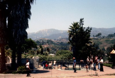 07 Seal and mountains.jpg