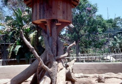 11 Something sticking out of the bottom of a tree house.jpg