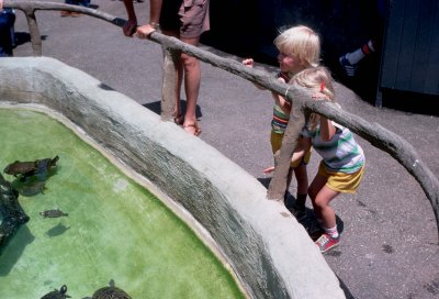 01 Santa Barbara Zoo, 1 July