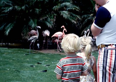 01 Keith, Erica and Mark watching flamingos.jpg