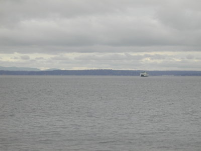g9/67/941167/3/154006243.aesESOSg.jpg