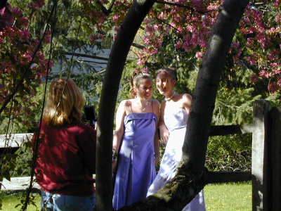 g9/67/941167/3/154006430.odtkofIM.jpg
