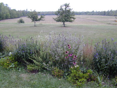 DSCN0277.JPG