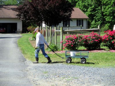 07 Erica with wagon.jpg