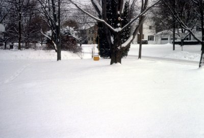 01 Snow.jpg