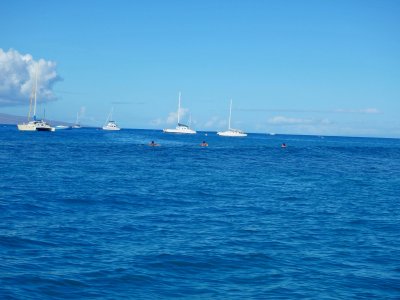 05 Surfers in the harbor 01.jpg