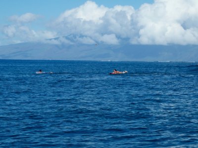 06 Surfers in the harbor 02.jpg