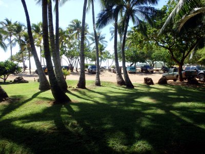 83 Hulopo'e Beach Park 01.jpg