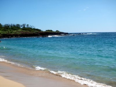 88 Hulopo'e Beach reef.jpg
