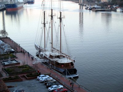 01 Peacemaker from the top of the Bohemian Hotel.jpg